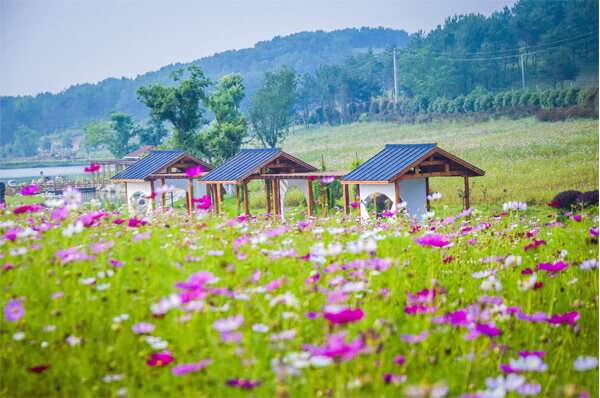 武漢木蘭草原露營團(tuán)建活動(dòng)策劃