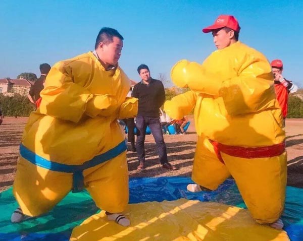 相撲達(dá)人